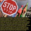Wyciekły tajne dokumenty z negocjacji TTIP