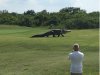Tymczasem na polu golfowym na Florydzie