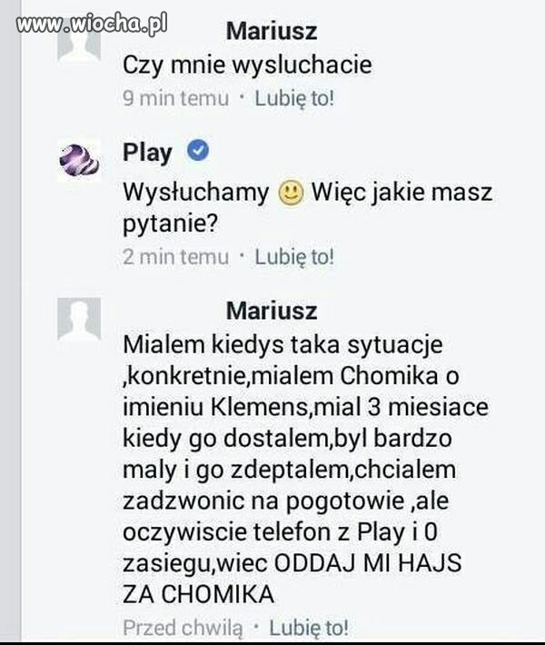 Hajs za chomika 