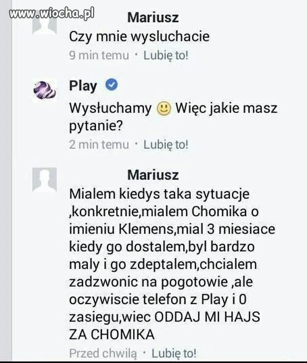 Hajs za chomika 