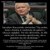 Egzotyki różne.