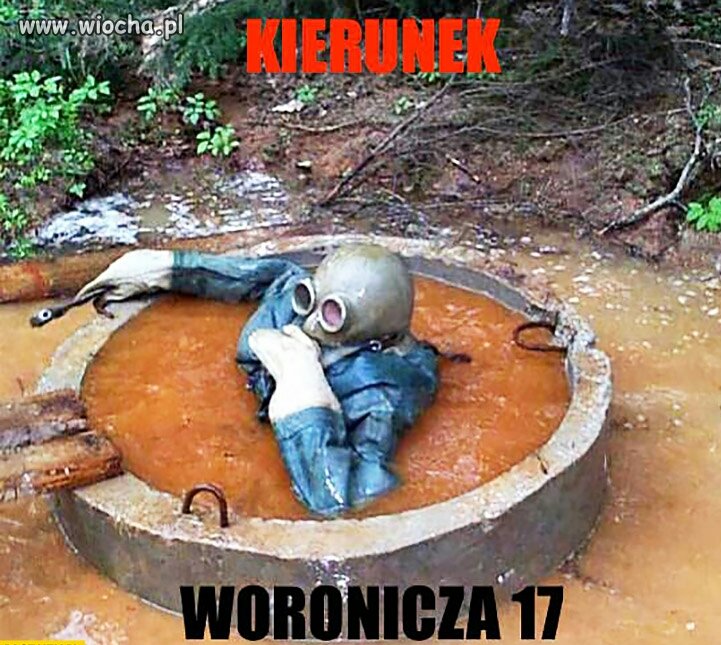 Nic dodać, nic ująć.