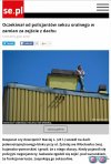 Desperat 