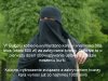W Bułgarii pierwsze kary