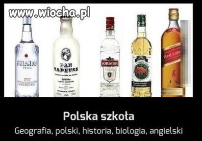 Polska edukacja