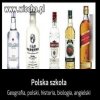Polska edukacja