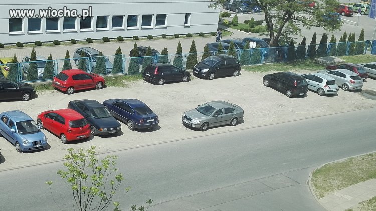 Mistrz parkowania w Łodzi