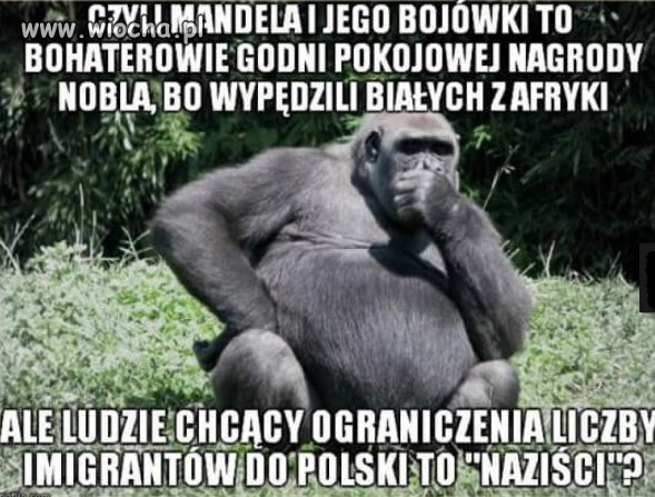 Naziści.