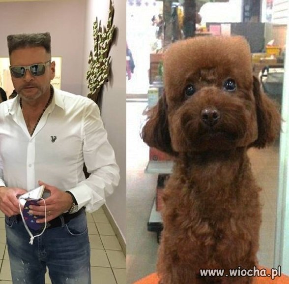 K-9 Detektyw i jego pies