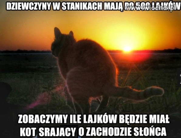Lajkowanie, friendowanie, hejtowanie