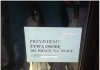 Praca na stałe