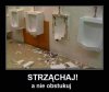 Miał ktoś rozmach