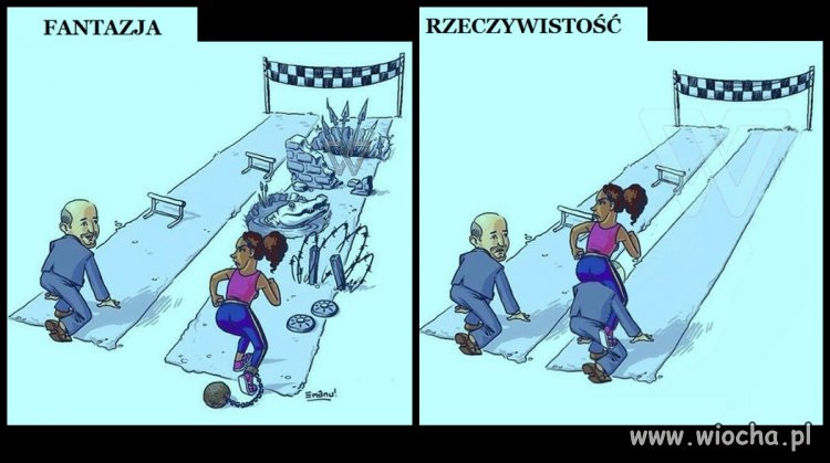 Feminizm 