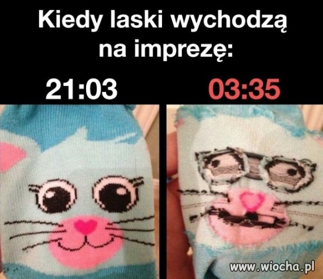 Kiedy laski wychodzą na imprezę