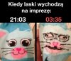 Kiedy laski wychodzą na imprezę