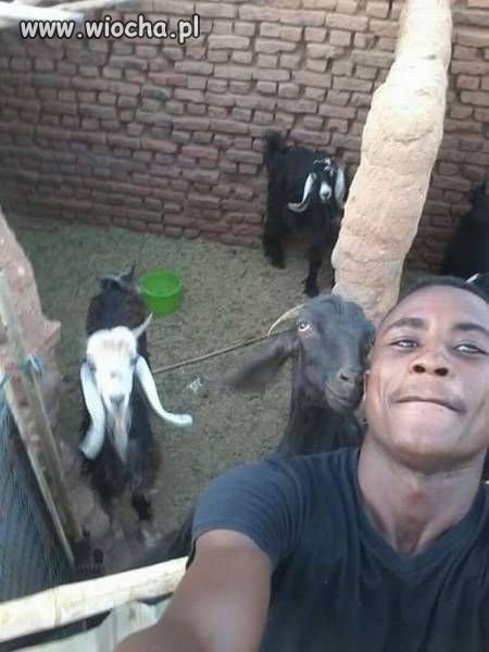 Selfi z pierwsza w haremie