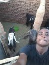 Selfi z pierwsza w haremie