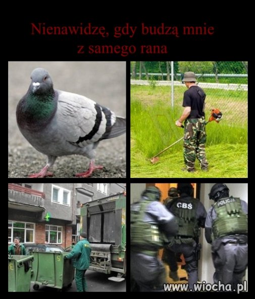 Cztery rzeczy, których...