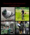 Cztery rzeczy, których...
