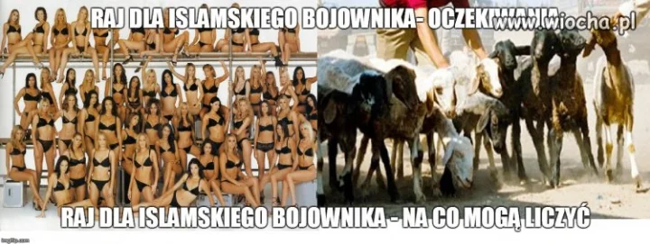 To im wmawiają