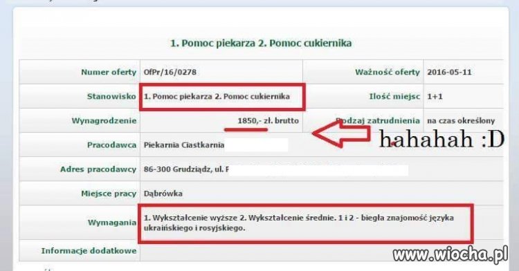 Pomoc piekarza po studiach poszukiwana 
