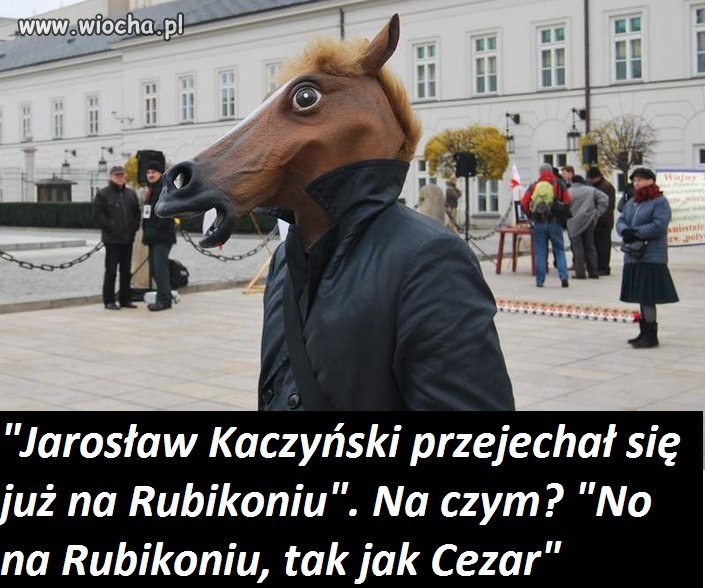 Niech konie spuszczą głowy Czy konie mnie słyszą