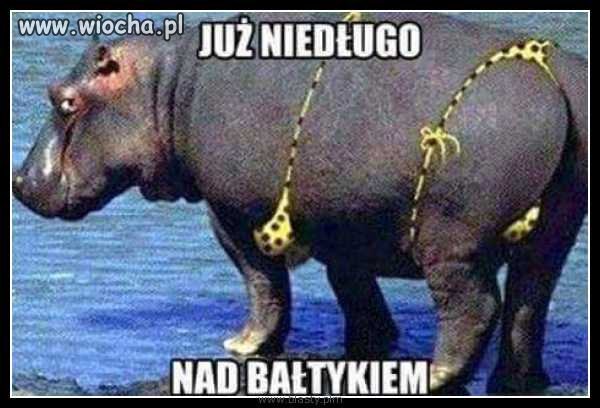 Wakacje już blisko 