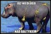 Wakacje już blisko 