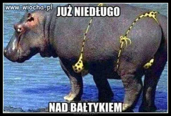 Wakacje już blisko 