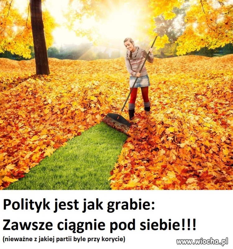 Babcia mawiała, że ci u władzy są jak grabie...