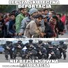 Jak się odeśle cwaniaczków którzy przybyli tu po  
