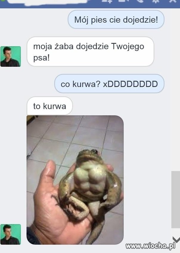 Żaba