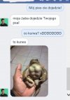 Żaba