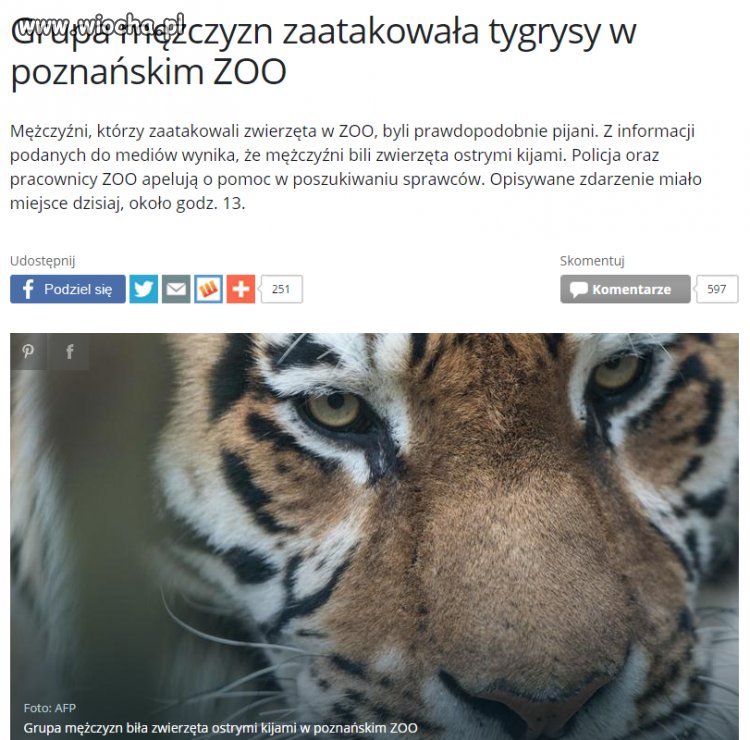 Brak mi słów