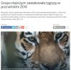 Brak mi słów