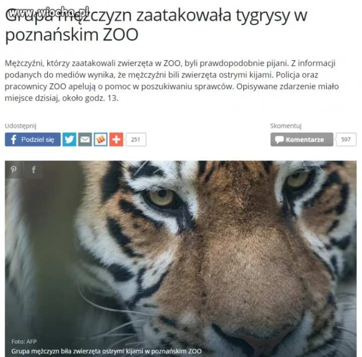 Brak mi słów