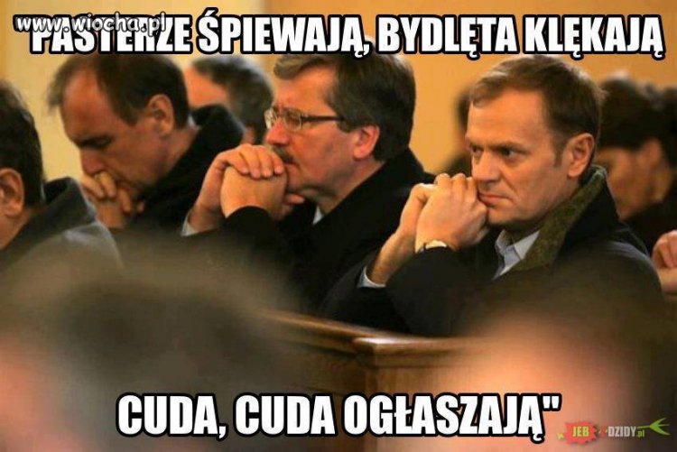 Taka perełka dla sewena,maxi i kilku innych