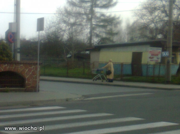 Wózek z Biedronki