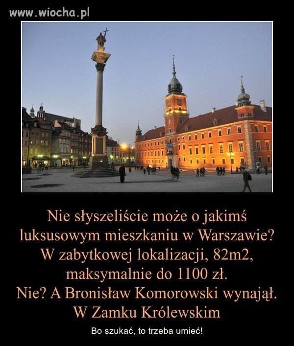 Bo szukać, to trzeba umieć!