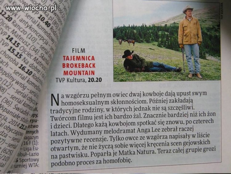 Dobra recenzja
