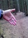 Znalezione w lesie