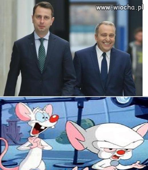 To Pinki jest i