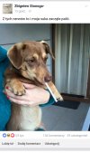 Zbyszek maltretuje nie tylko słowem ale i