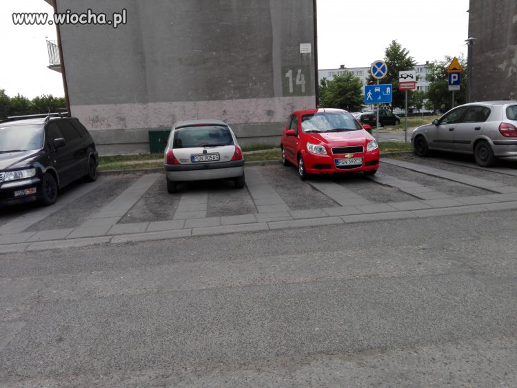 Mistrzowie parkowania