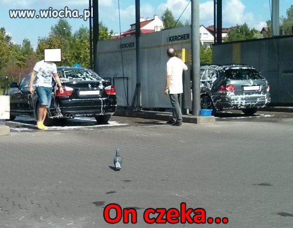 Tymczasem gdy wyjedziesz z myjni. 