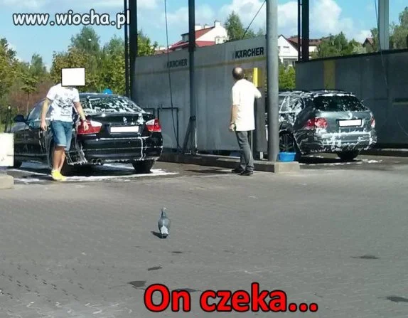 Tymczasem gdy wyjedziesz z myjni. 