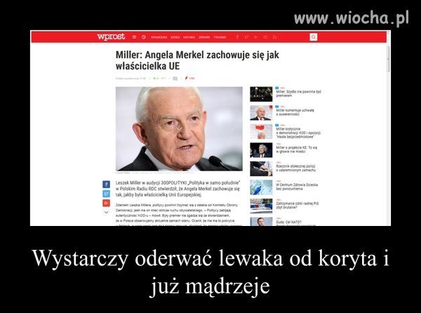 Oderwany od koryta.