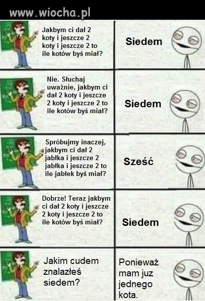 Siedem kotów