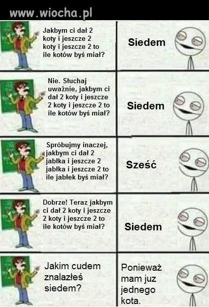 Siedem kotów