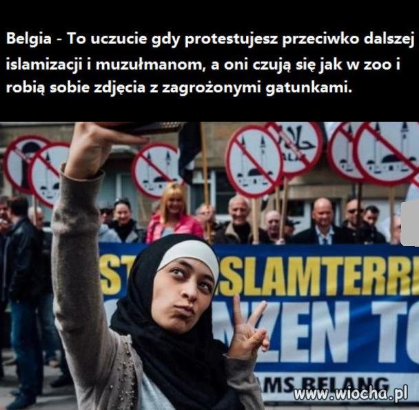 Całe szczęście, że w Polsce to oni są zagrożonym
